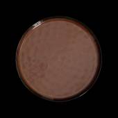 Тарелка мелкая 225мм Corone Carmen красная фк1800