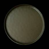 Тарелка мелкая 285мм, серо-зеленый Corone Sacramento HS169597 фк9101 Тарелка мелкая 285мм, серо-зеленый Corone Sacramento HS169597 фк9101