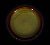 Тарелка мелкая 150мм Corone Verde синий+зеленый HL496930 фк0704 Тарелка мелкая 150мм Corone Verde синий+зеленый HL496930 фк0704